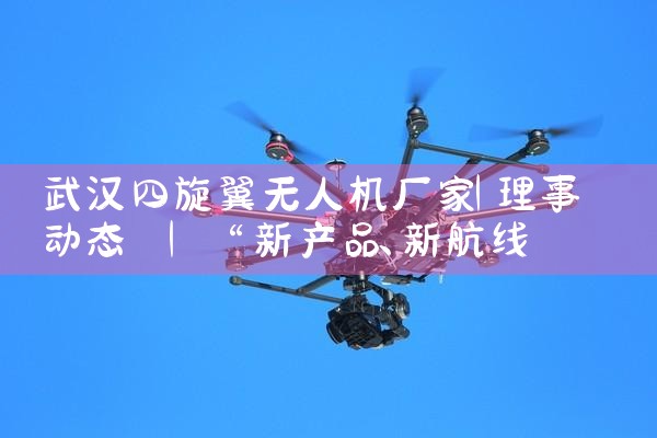 人˻|˻UAV