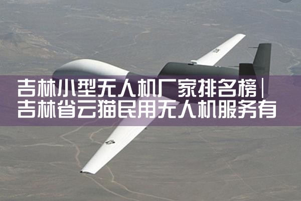 С˻|˻UAV