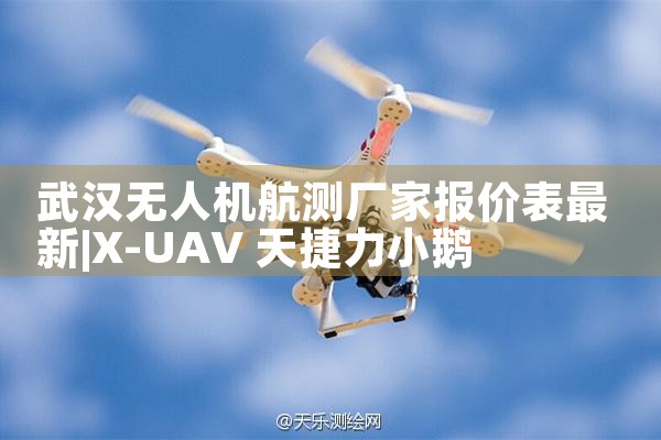 人˻⳧ұ۱|˻UAV